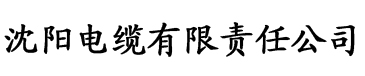 斗罗大陆小舞篇琥珀纽扣电缆厂logo